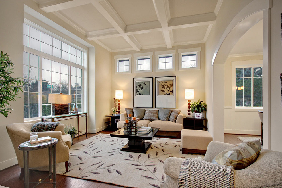 Traditional Contemporary Living Room Design Ideas | Baci Living Room