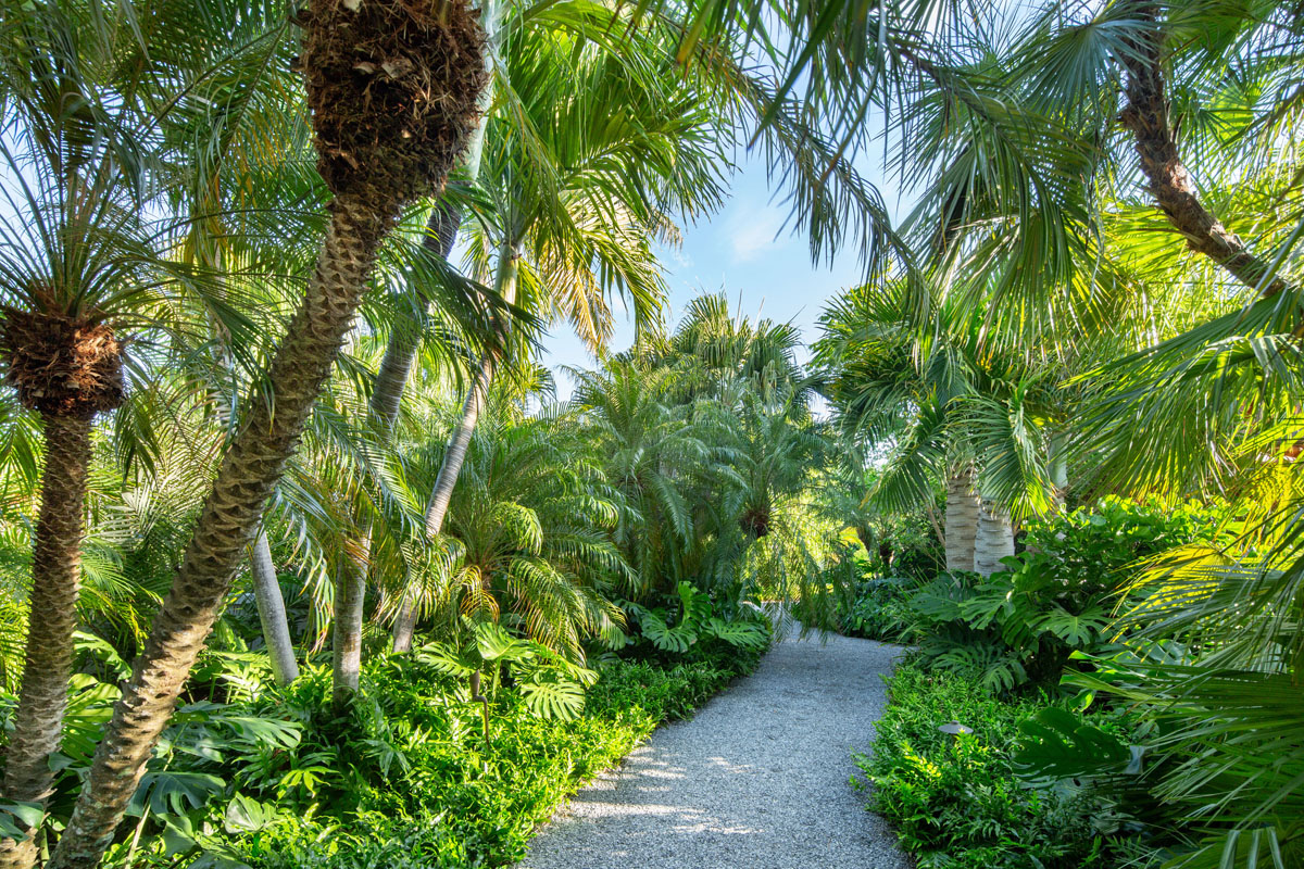 Winding garden path lined with lush tropical foliage